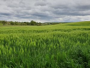 Hilfreiche Links